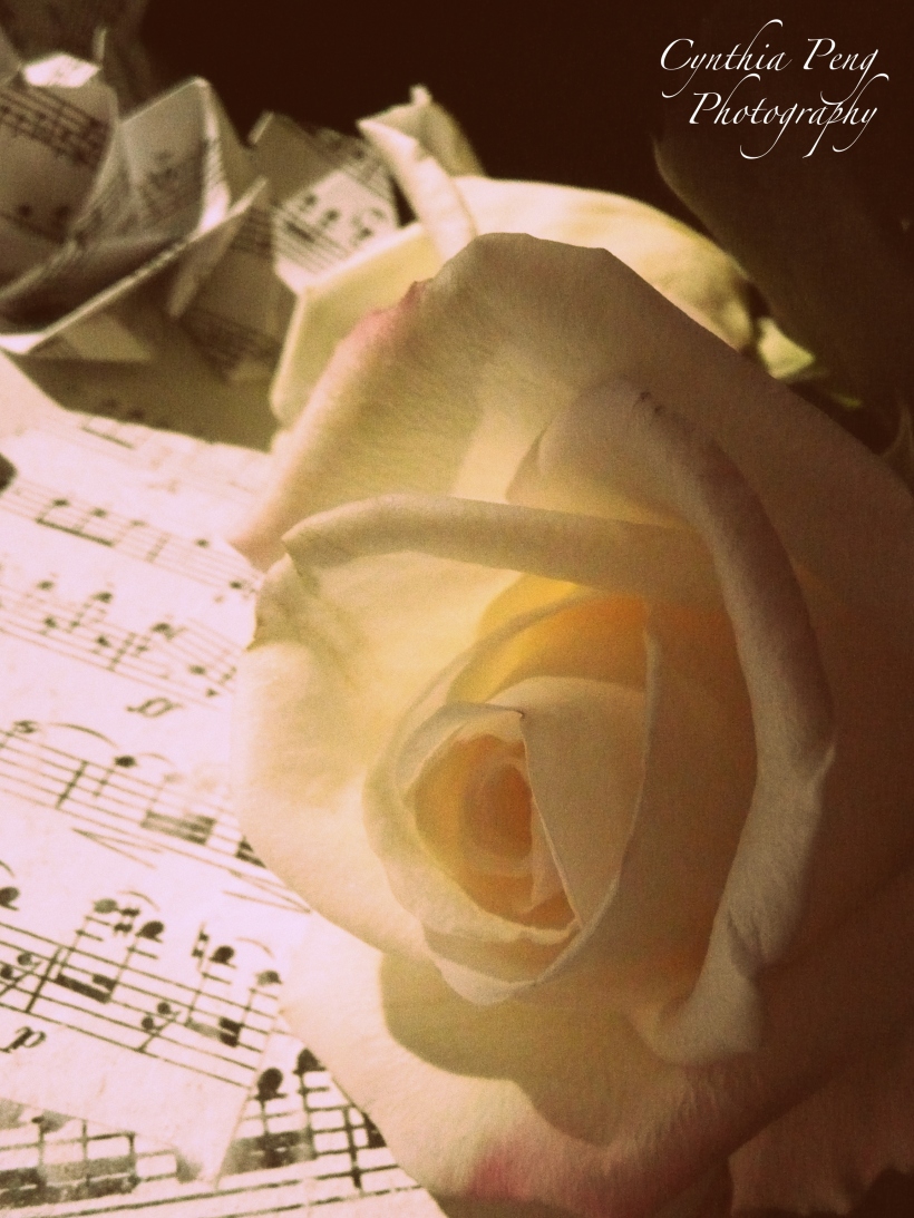 Rose sheet music